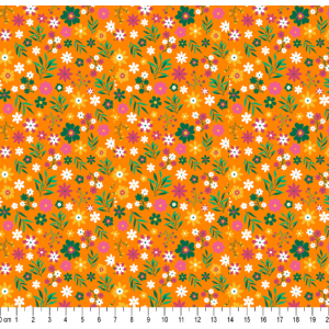 Anny cor 06 (Laranja) 